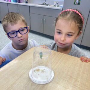 Two students looking at the butterfly cycle in action.