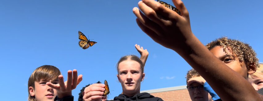 Three students releasing butterflies